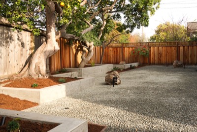  Trees in concrete planters 